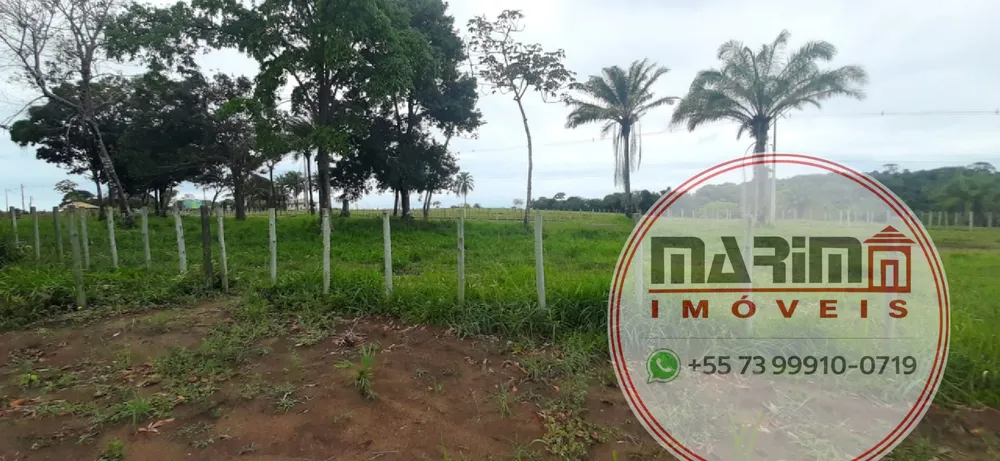 Terreno, 4 hectares - Foto 8