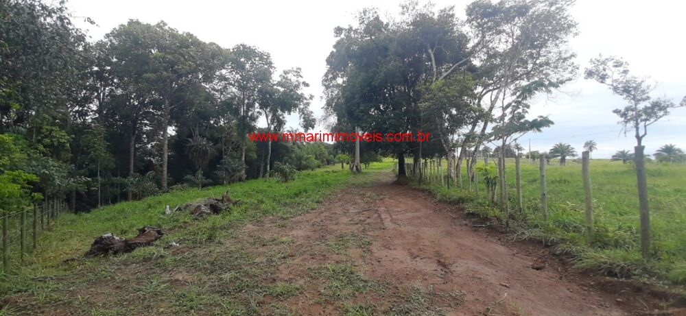 Terreno, 4 hectares - Foto 4