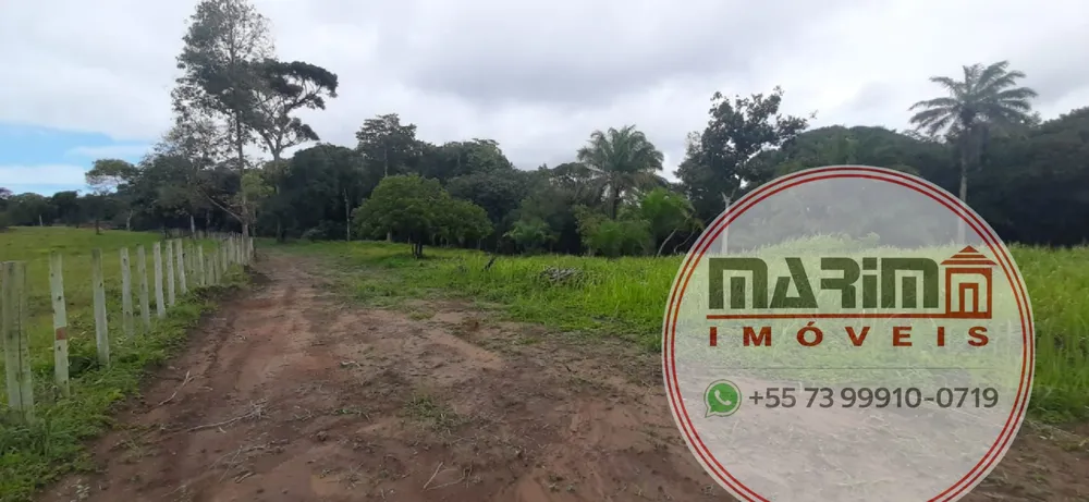 Terreno, 4 hectares - Foto 10