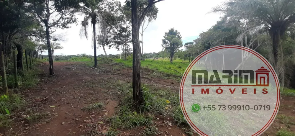 Terreno, 4 hectares - Foto 13