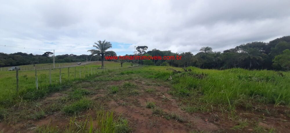 Terreno, 4 hectares - Foto 2