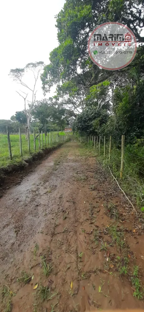 Terreno, 4 hectares - Foto 14