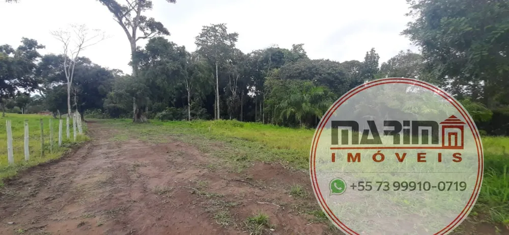 Terreno, 4 hectares - Foto 7