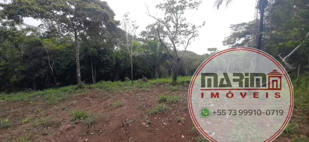 Terreno, 4 hectares - Foto 12
