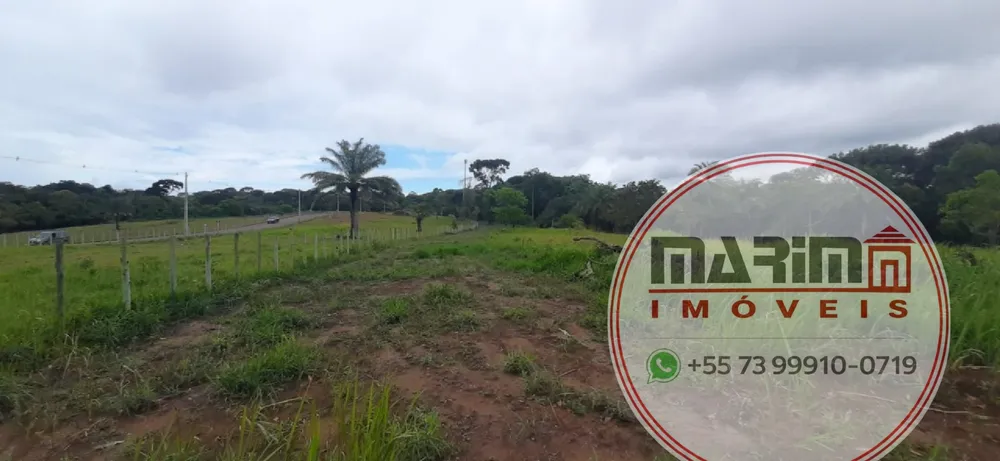 Terreno, 4 hectares - Foto 6