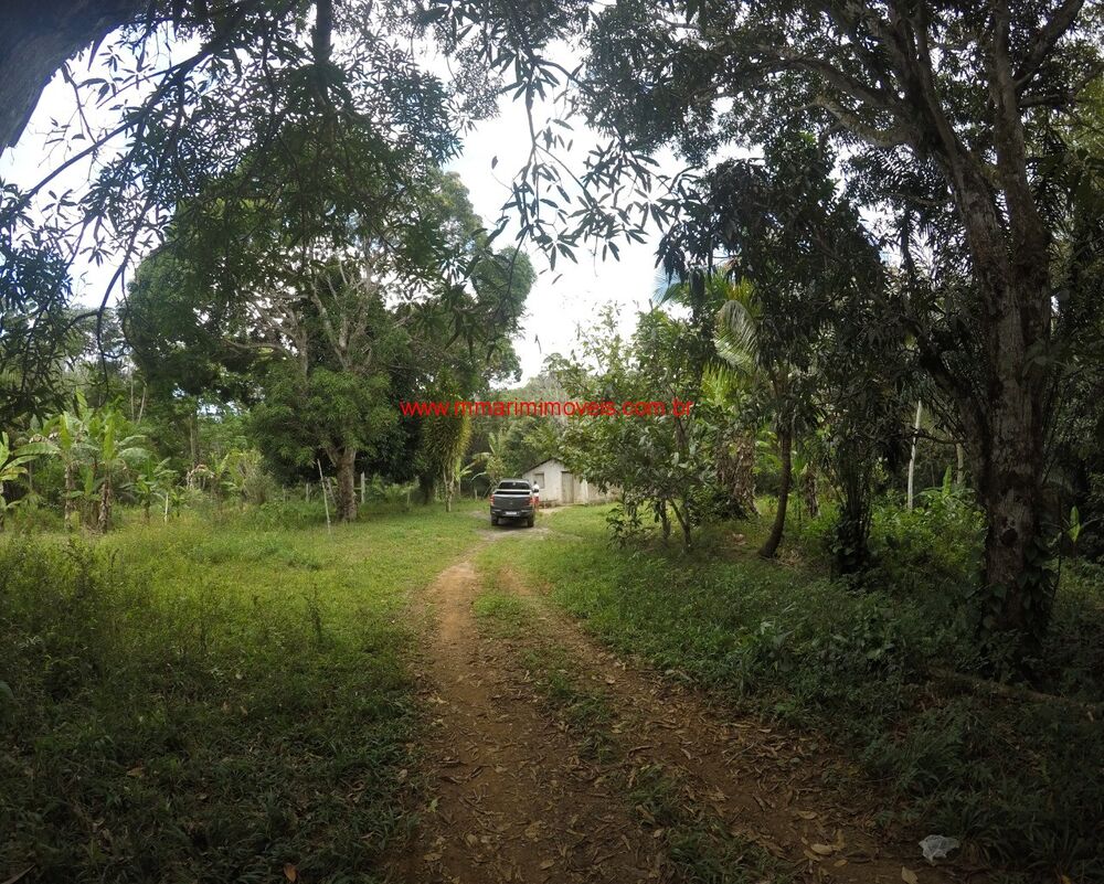 Terreno, 11 hectares - Foto 4