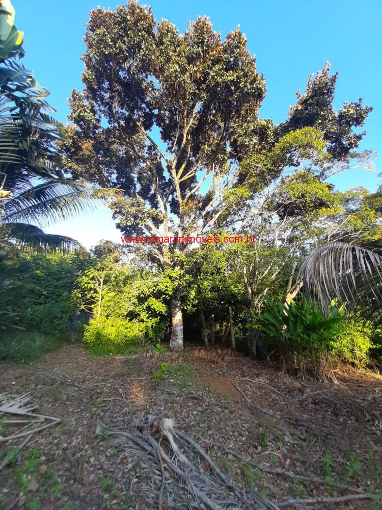 Casa à venda com 6 quartos - Foto 7