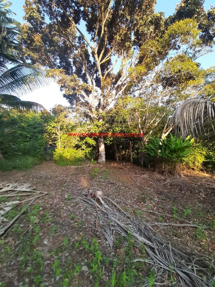 Casa à venda com 6 quartos - Foto 10