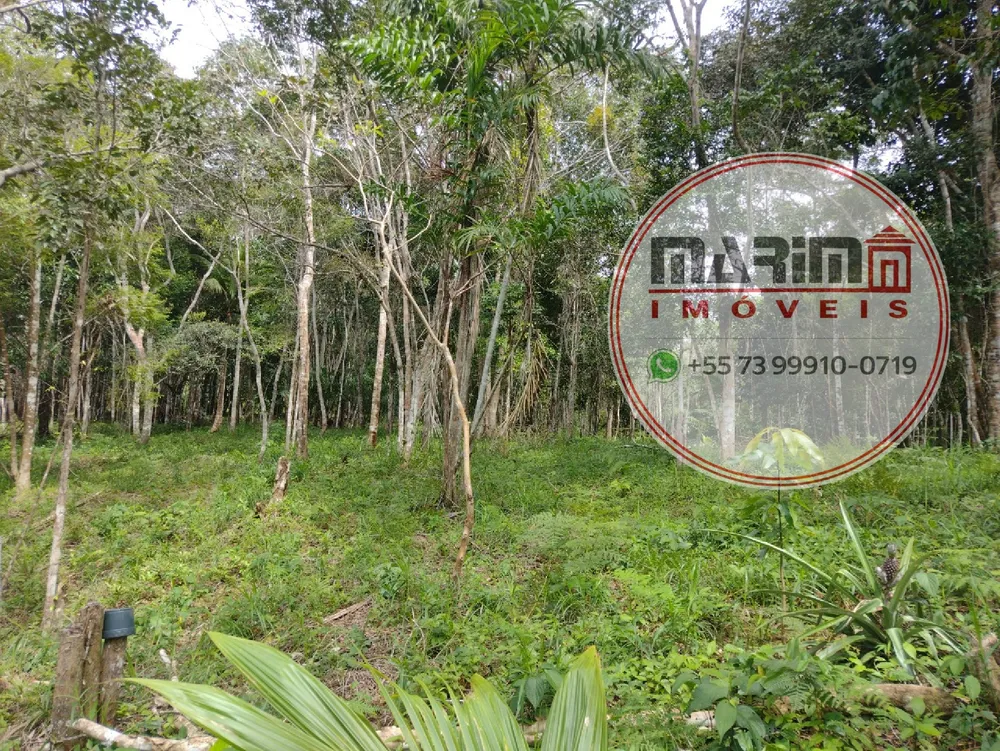 Terreno, 2 hectares - Foto 7