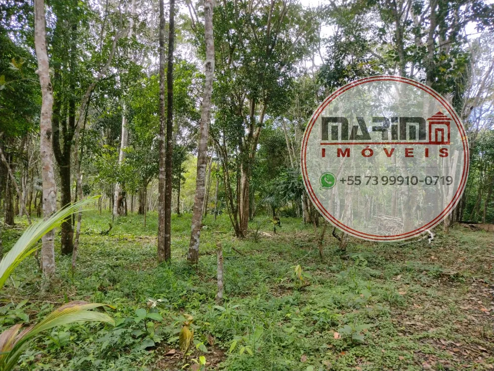 Terreno, 2 hectares - Foto 4