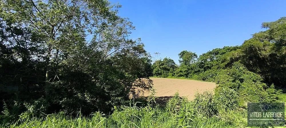 Terreno, 505 hectares - Foto 7