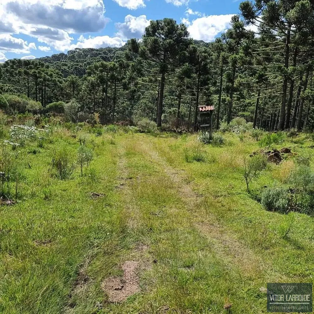 Fazenda, 4 hectares - Foto 12