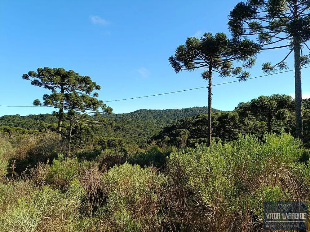 Fazenda, 4 hectares - Foto 8