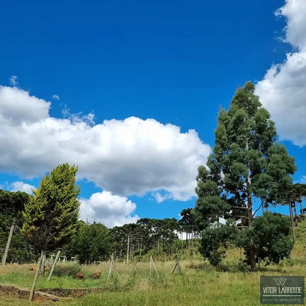 Fazenda, 4 hectares - Foto 10
