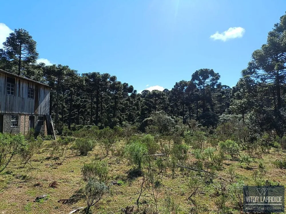 Fazenda, 4 hectares - Foto 11