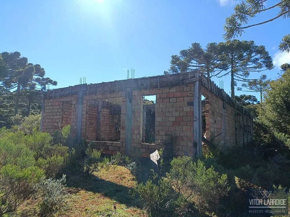 Fazenda, 4 hectares - Foto 3
