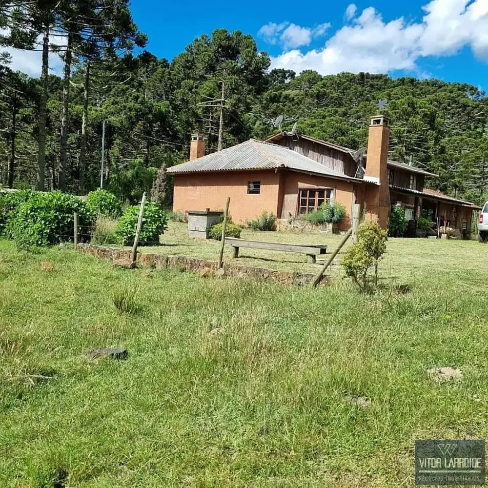 Fazenda, 4 hectares - Foto 1