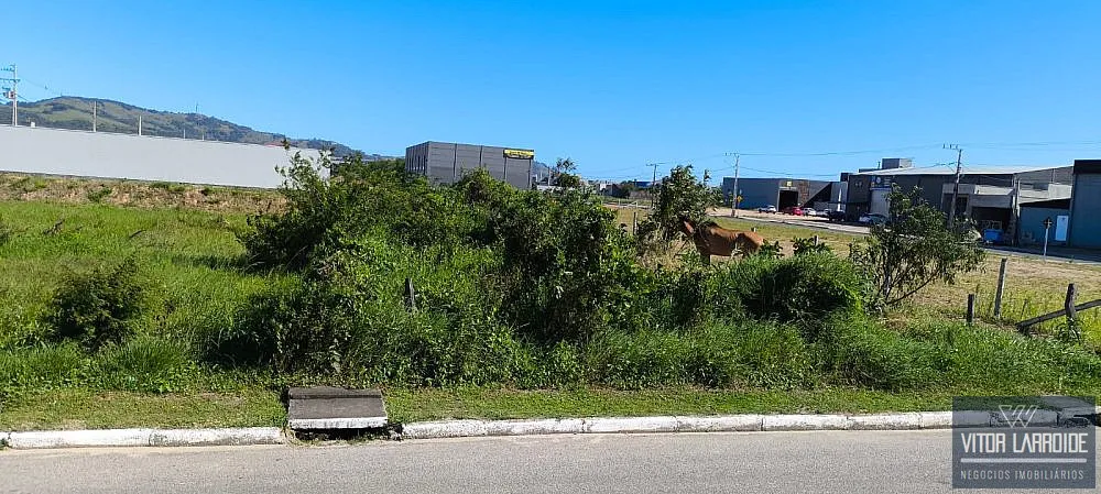 Terreno, 2112 m² - Foto 9