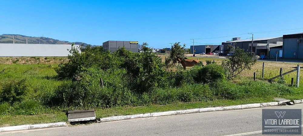 Terreno, 2112 m² - Foto 5