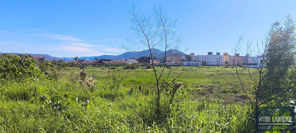 Terreno, 250 m² - Foto 2