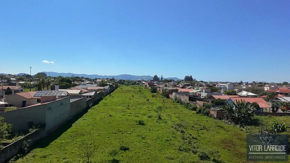 Terreno, 1 hectares - Foto 4