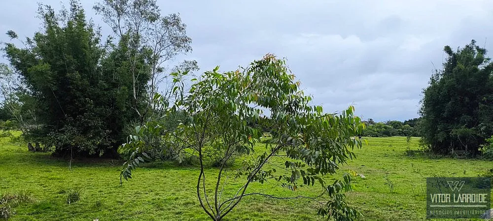 Terreno, 16 hectares - Foto 7