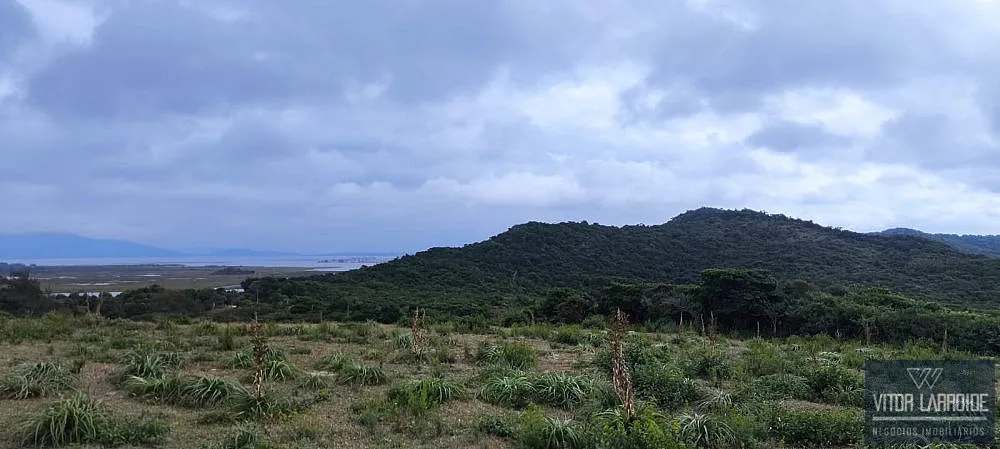 Terreno, 16 hectares - Foto 5