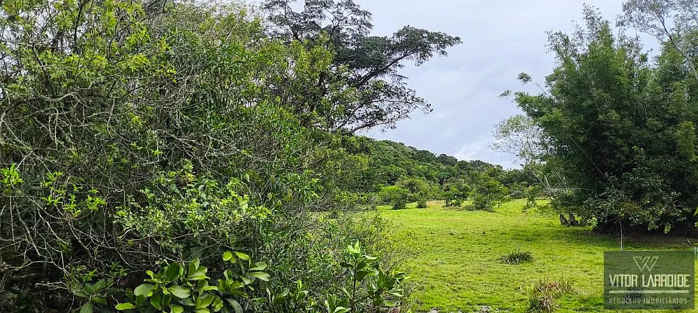 Terreno, 16 hectares - Foto 9