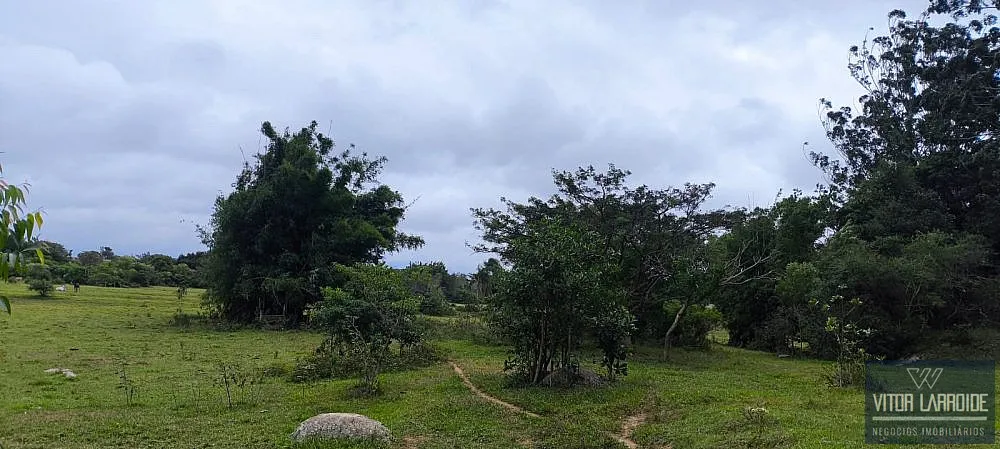 Terreno, 16 hectares - Foto 6