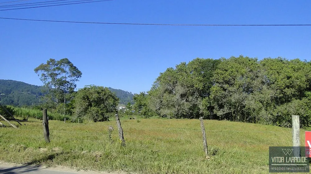 Terreno, 11 hectares - Foto 4
