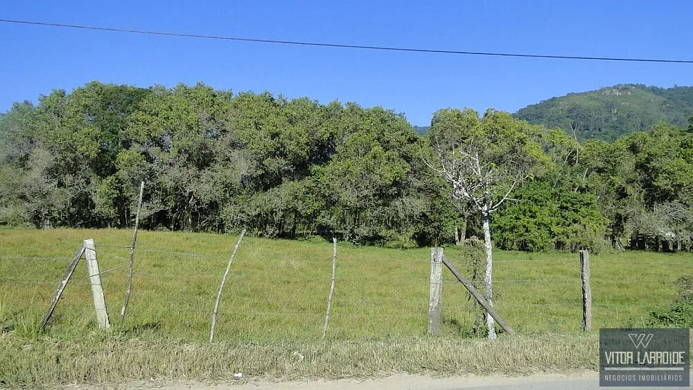 Terreno, 11 hectares - Foto 8