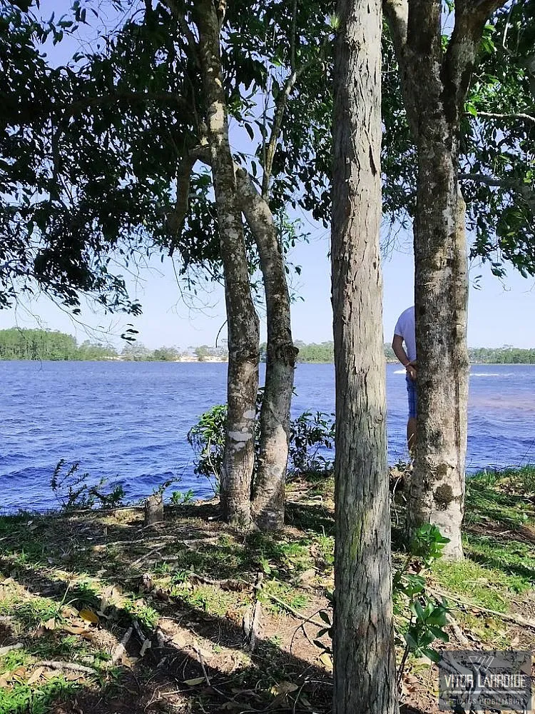 Fazenda, 486 hectares - Foto 7
