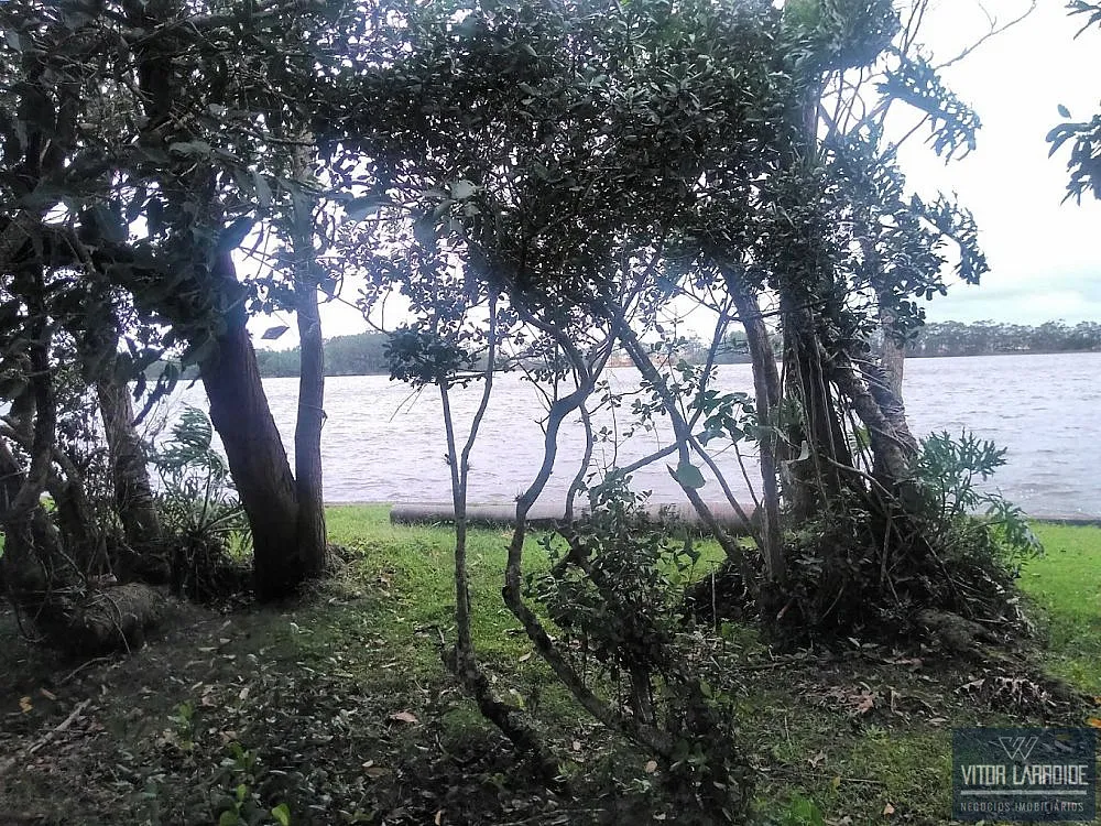 Fazenda, 486 hectares - Foto 9