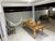 Casa, 3 quartos, 288 m² - Foto 7
