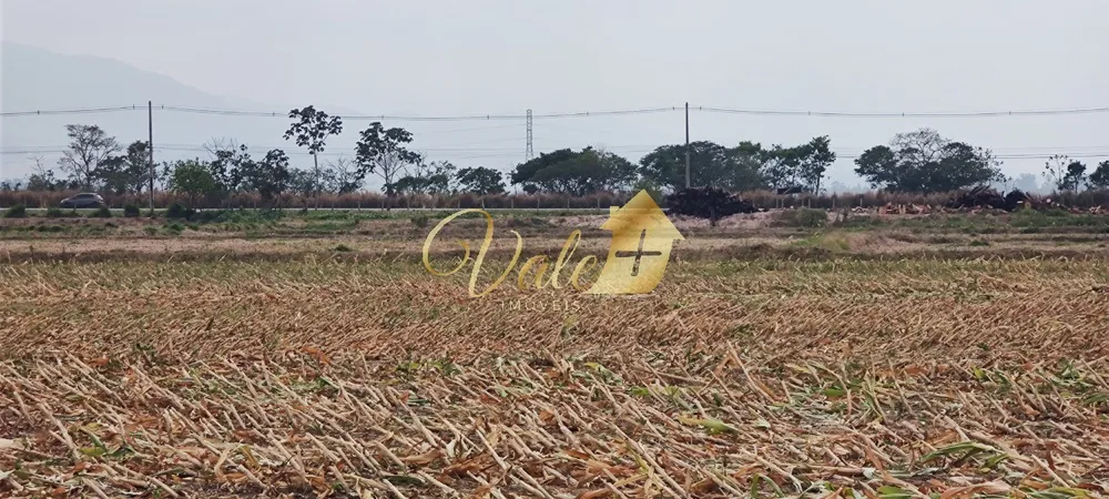 Terreno, 55 hectares - Foto 3
