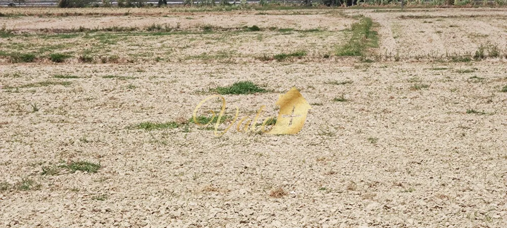 Terreno, 55 hectares - Foto 16