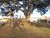 Terreno, 300 m² - Foto 2