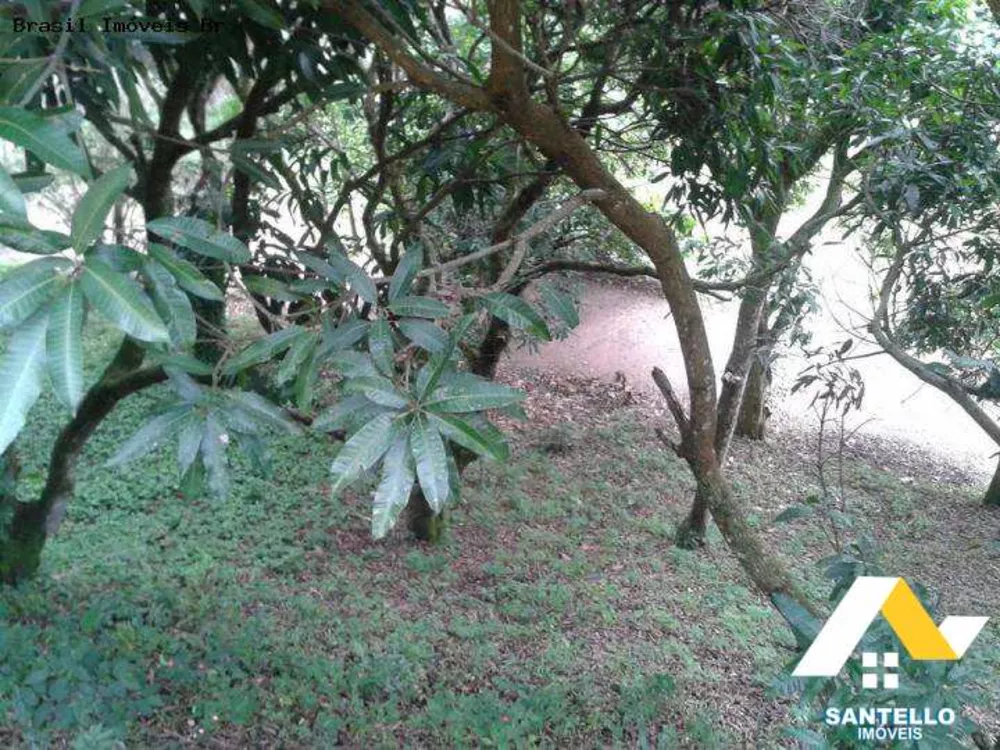 Casa, 4 quartos, 200 m² - Foto 20
