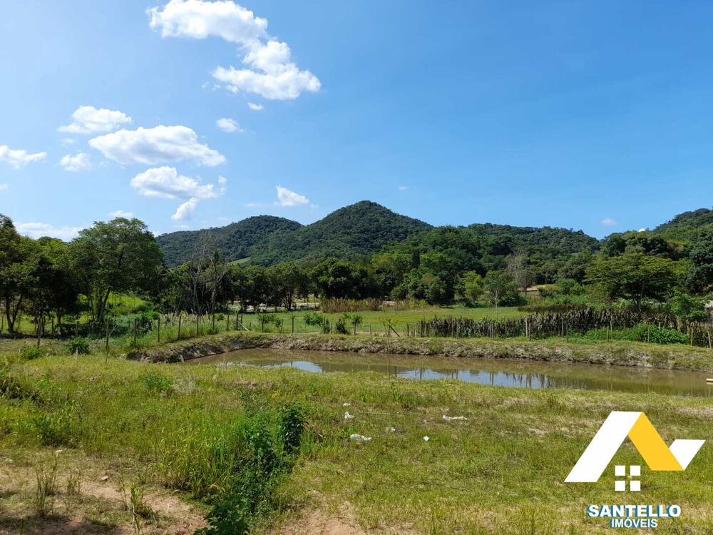 Sítio, 3 hectares - Foto 8