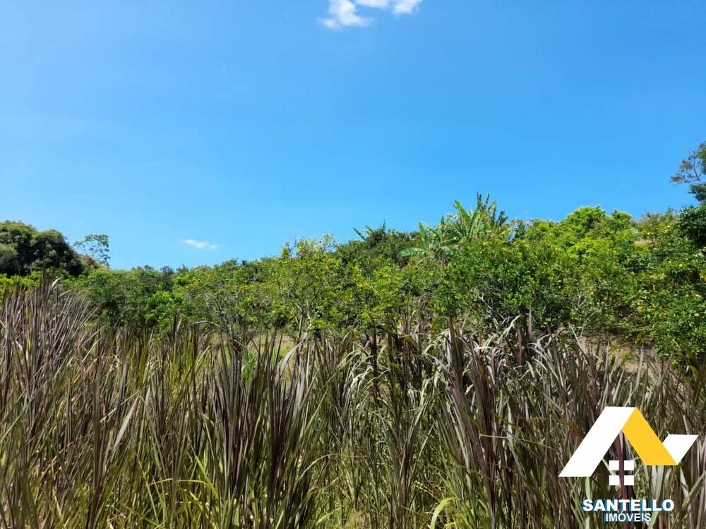 Sítio, 3 hectares - Foto 24