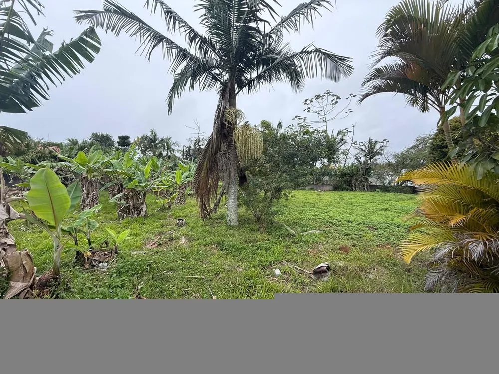 Terreno, 1596 m² - Foto 3