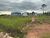 Terreno, 300 m² - Foto 2