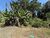Terreno, 260 m² - Foto 4