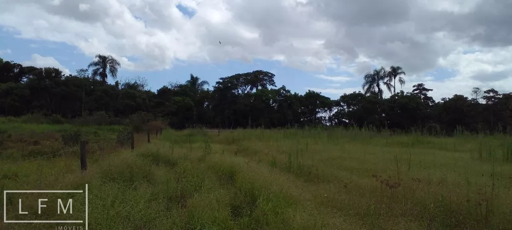 Sítio, 3 quartos, 5300 m² - Foto 12