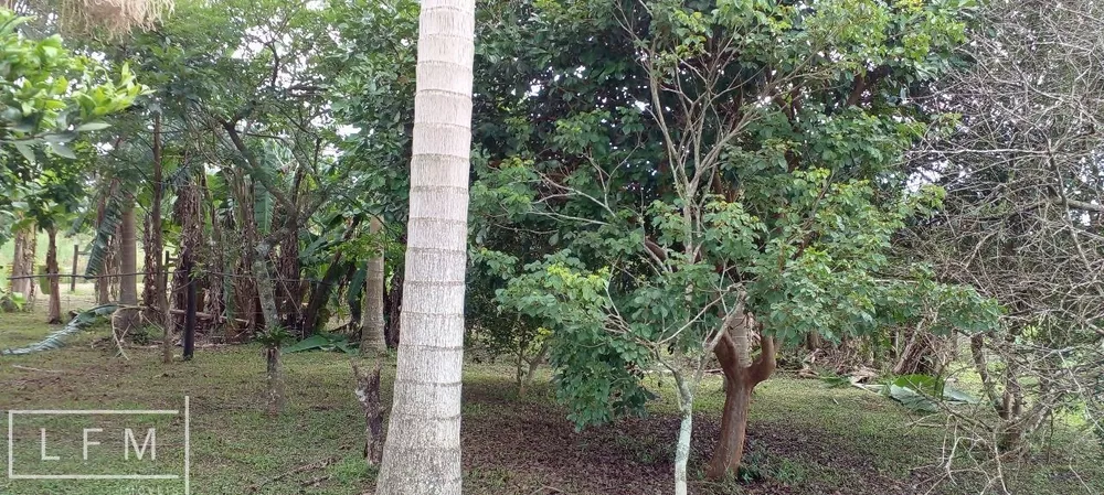 Sítio, 3 quartos, 5300 m² - Foto 16