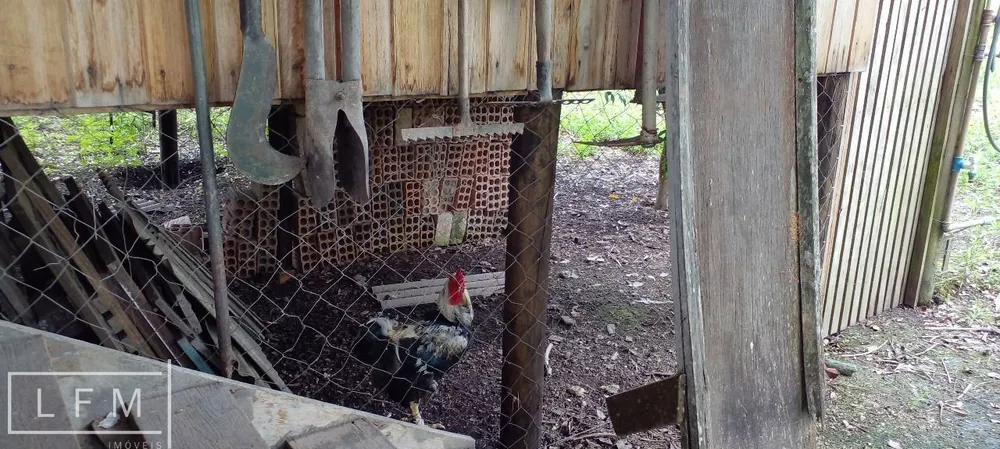 Sítio, 3 quartos, 5300 m² - Foto 15