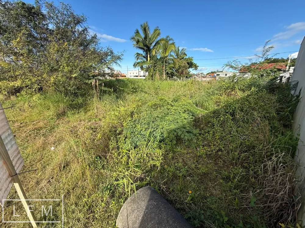 Terreno, 249 m² - Foto 3