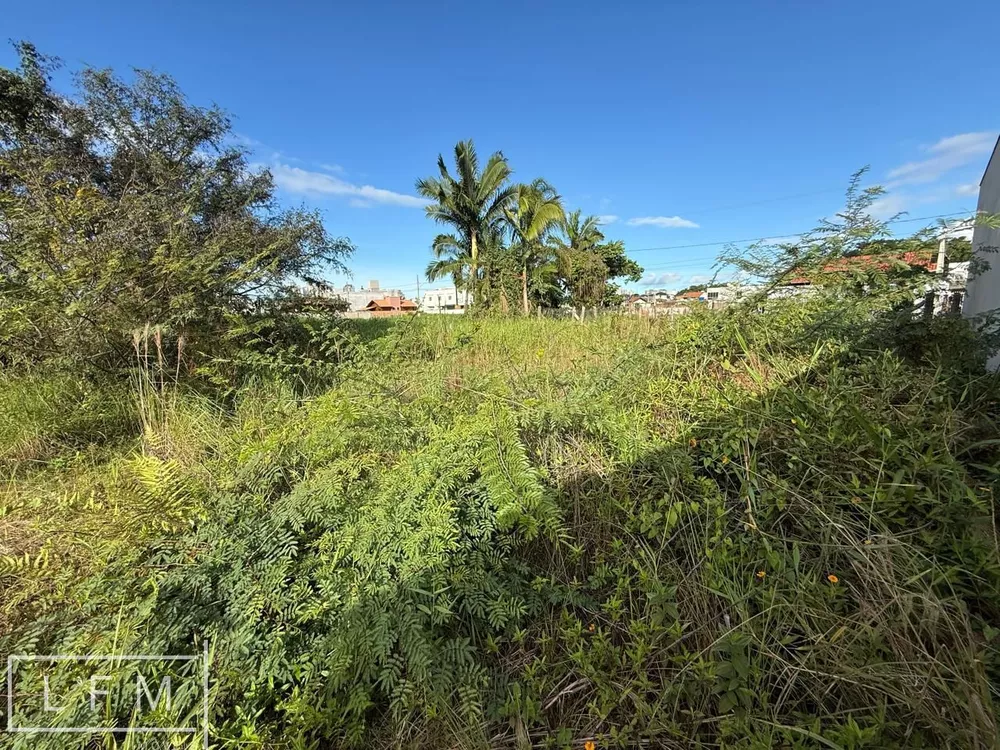 Terreno, 249 m² - Foto 4