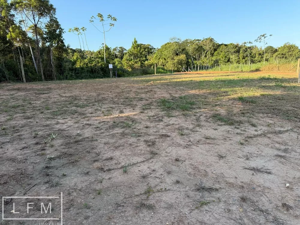 Terreno, 1046 m² - Foto 6
