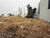 Terreno, 300 m² - Foto 4